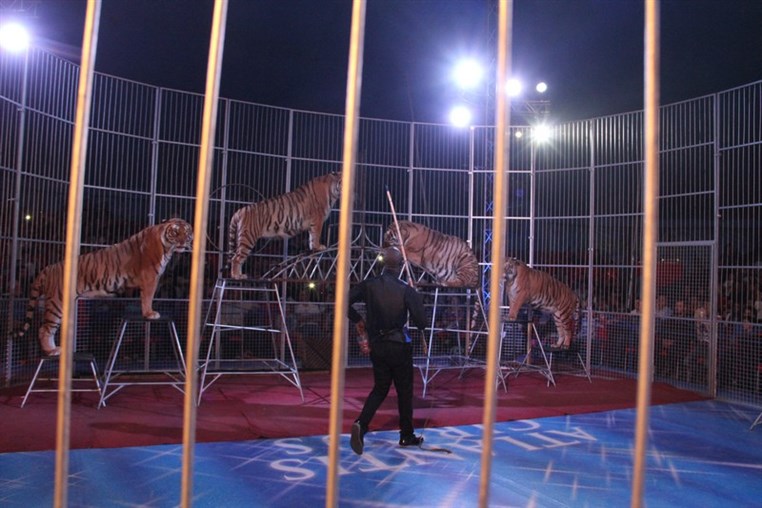 Atlantis Circus
